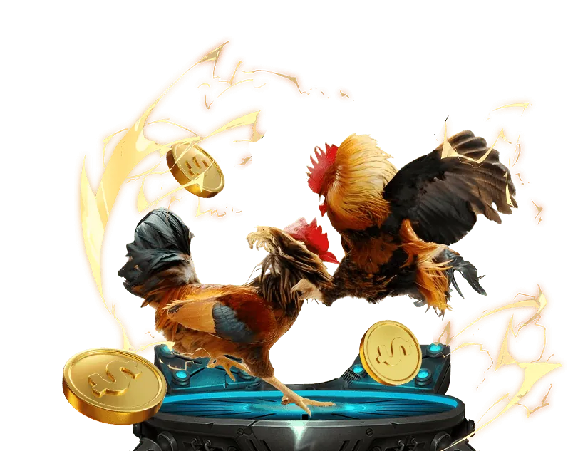 Trải nghiệm đá gà online tại nn88 casino